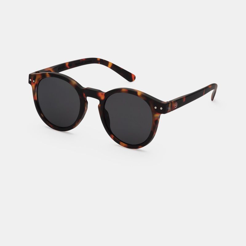 Gafas Sol Adulto