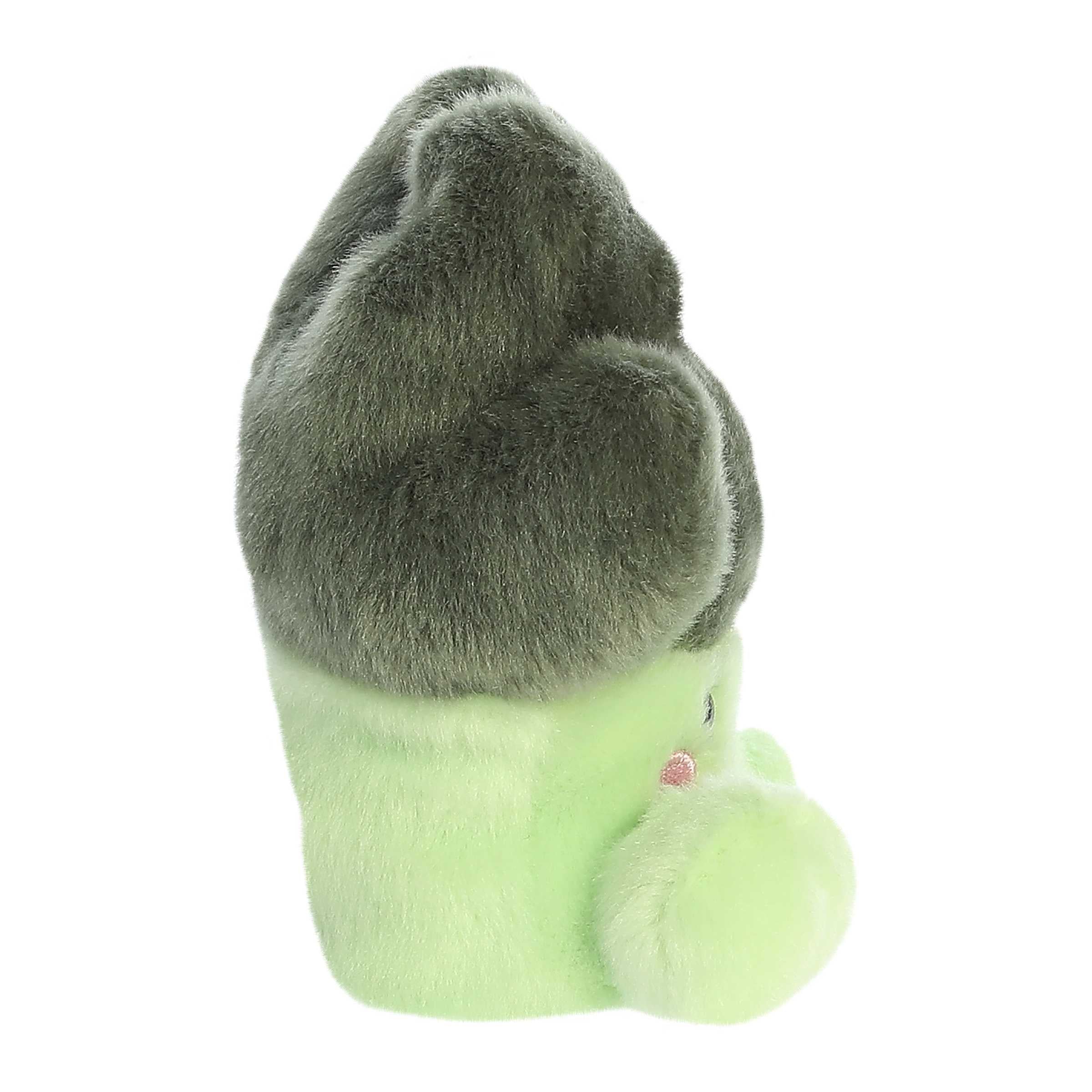 Bròquil Peluix Palm Pals