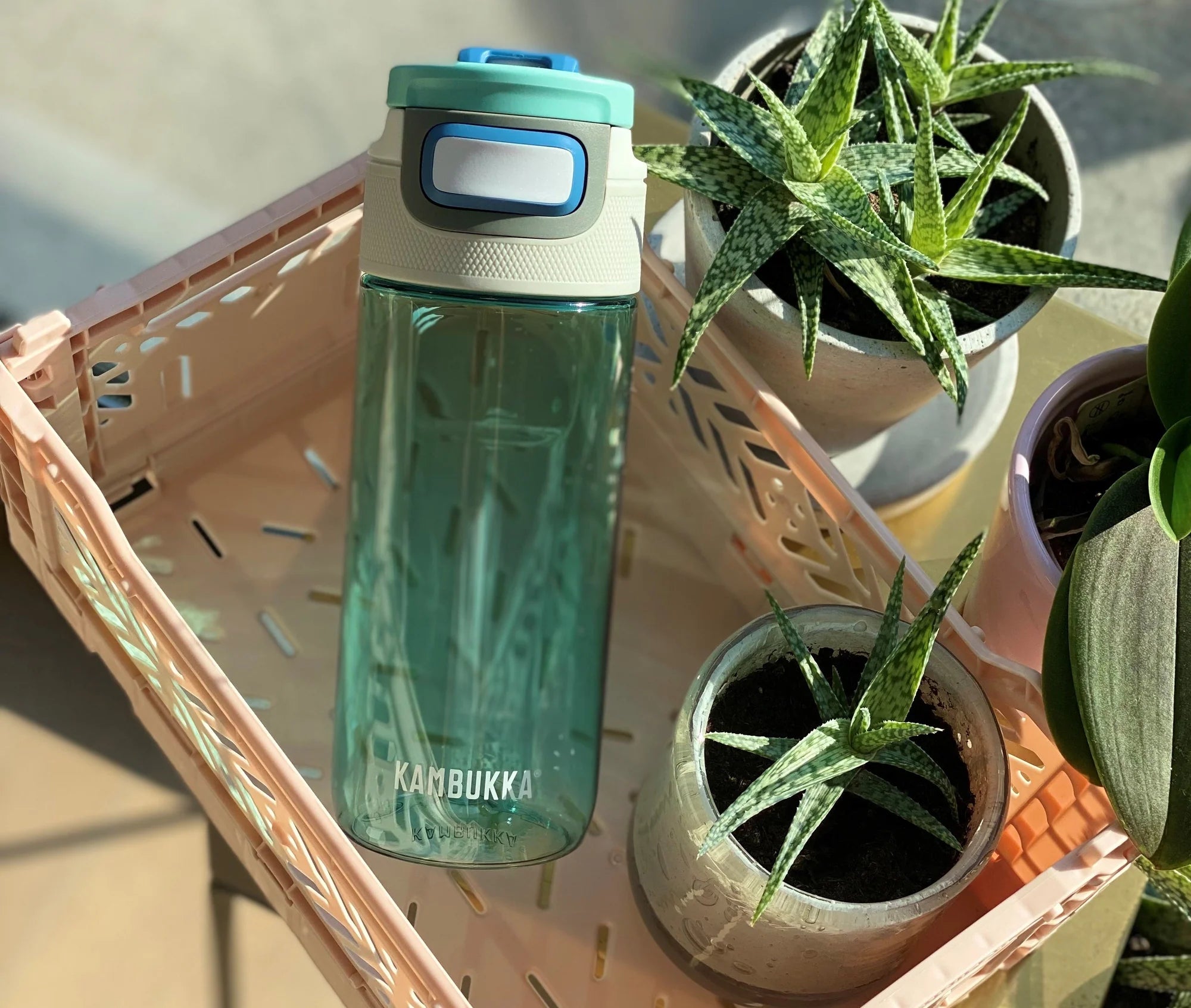 Botella 500ml ICE GREEN Kambukka