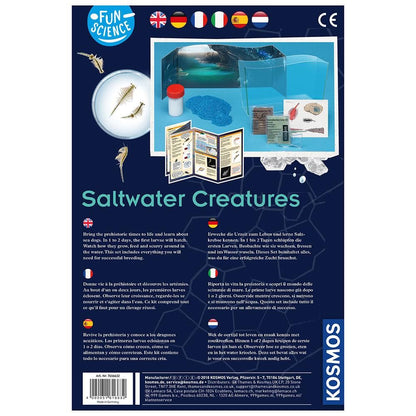 Kit Saltwater Creatures