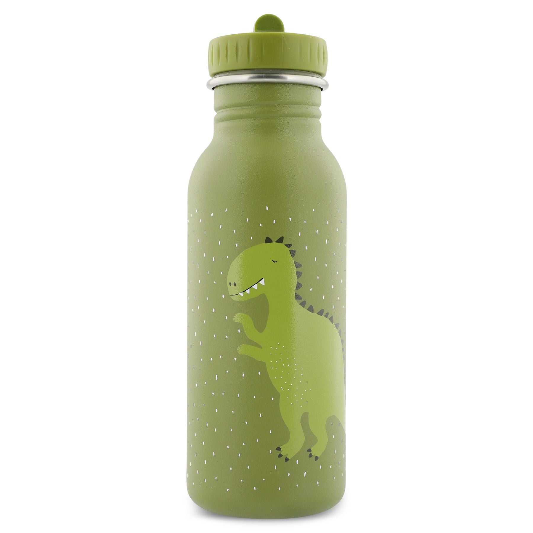 Botella Acero Pajita Mr Dino 500 ml