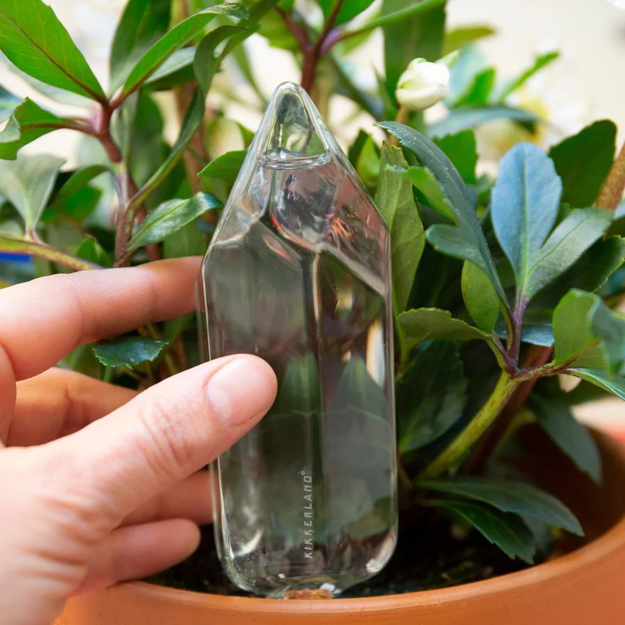 Cristal Autorriego Kikkerland