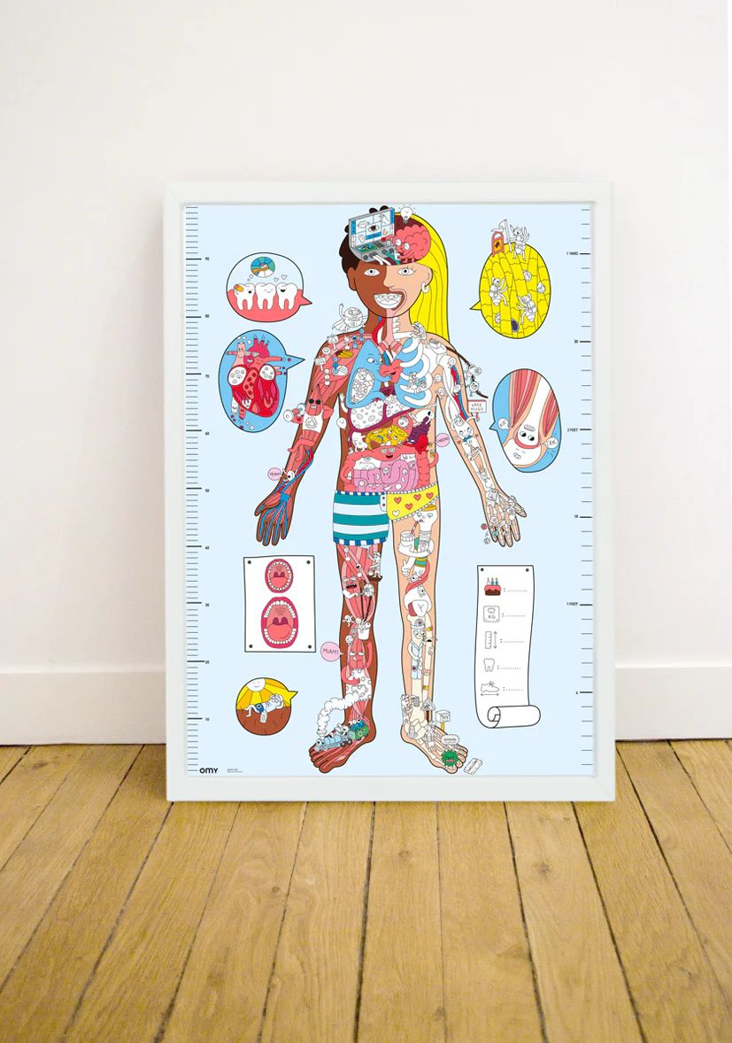 Poster XL Stickers Cuerpo Humano OMY