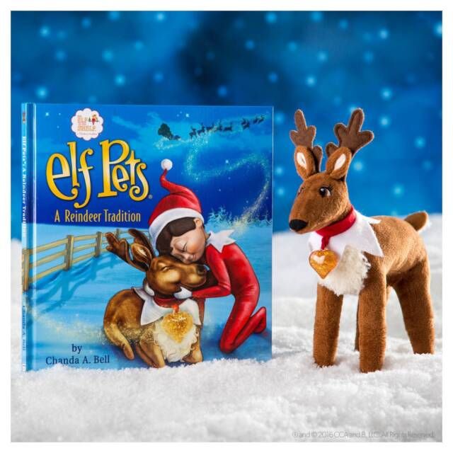 Reno - Elf on the shelf Pets