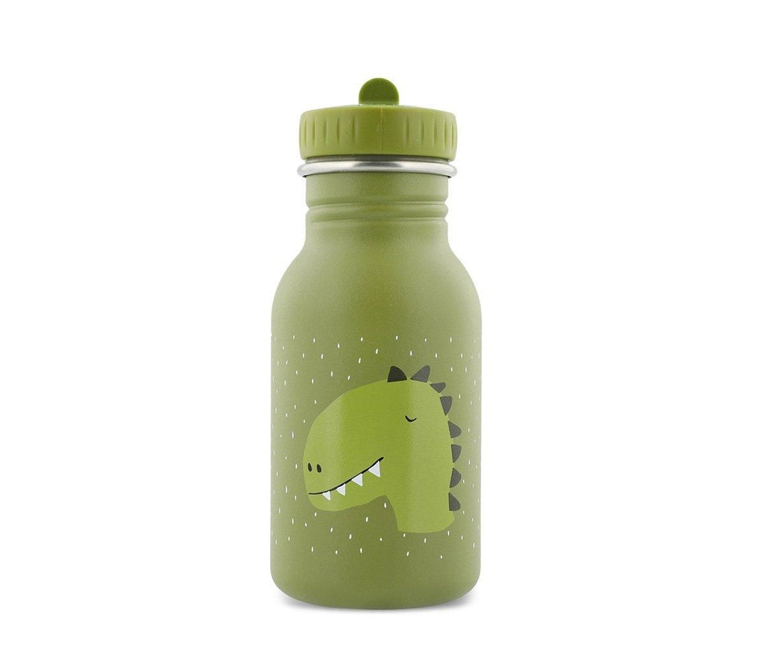 Botella Acero Pajita Mr. Dino 350 ml