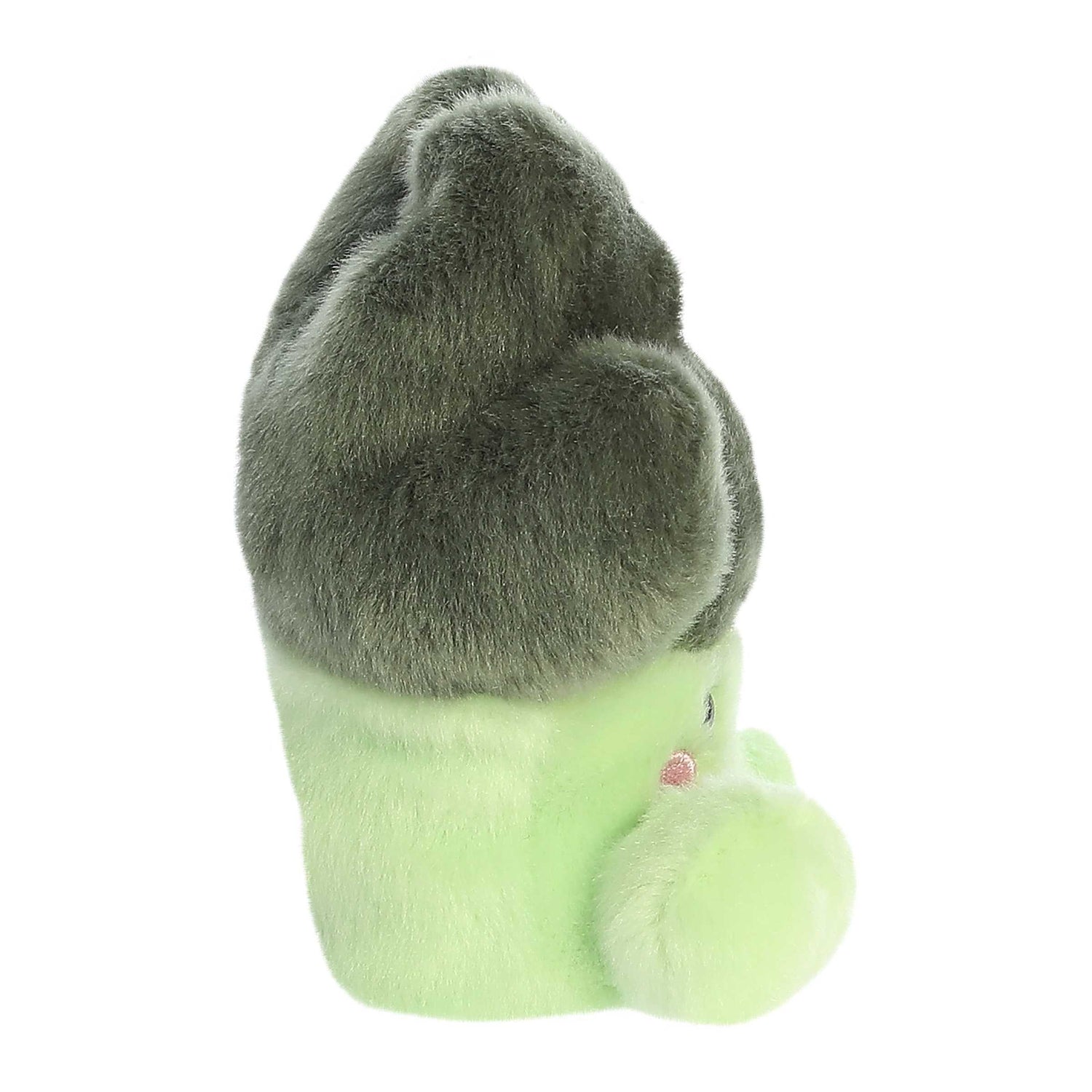 Bròquil Peluix Palm Pals