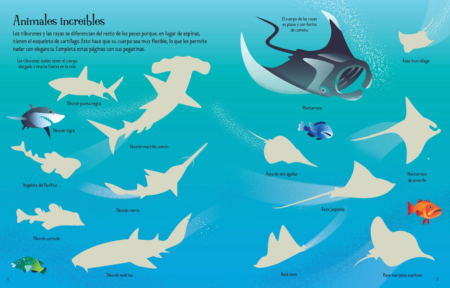 Libro Pegatinas Tiburones y Rayas Usborne